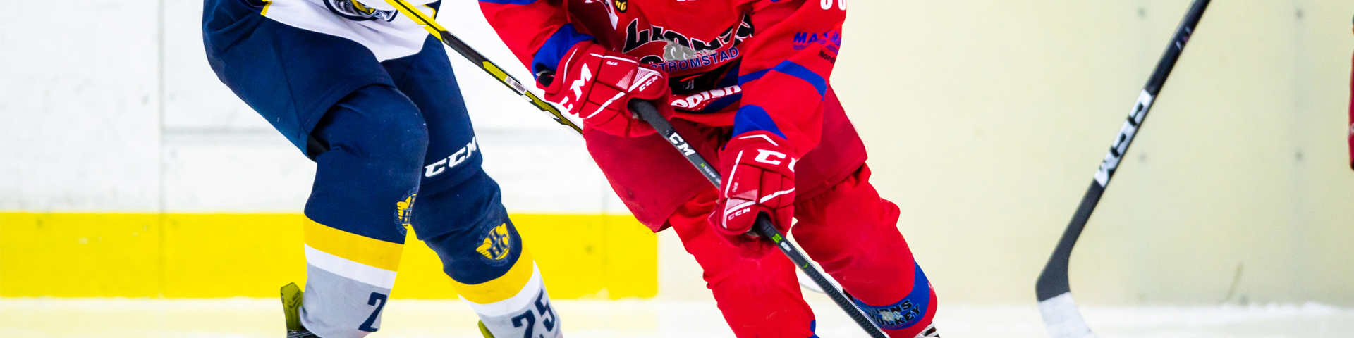 Föräldrar