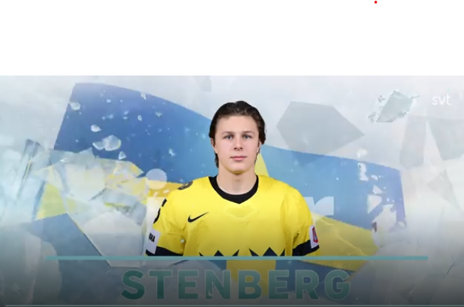 Skaermbild J 20 Stenberg